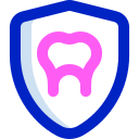 proteccion icon