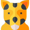 leopardo