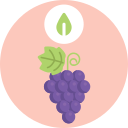 uvas icon