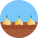 cebolla icon