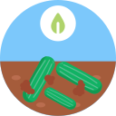 pepinos icon