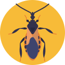 insecto icon