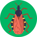 insecto asesino icon