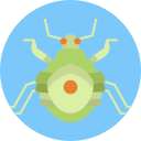 insecto icon