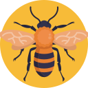 abeja icon