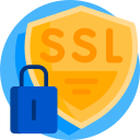 ssl icon