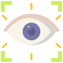 reconocimiento de ojos icon