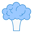 brócoli icon