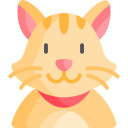 gato icon