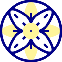 mandala icon