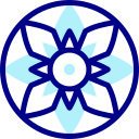 mandala icon