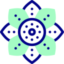 mandala icon