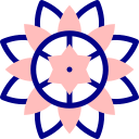 mandala icon