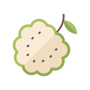 annona montana icon