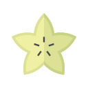 carambola icon