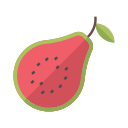 guayaba icon