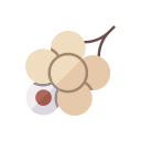 longan