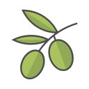 aceituna icon