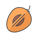 zapote icon