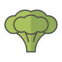 brócoli icon