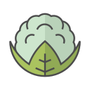 coliflor icon