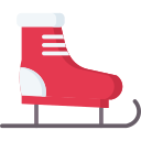 zapatos icon