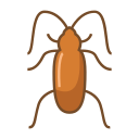 cucaracha icon