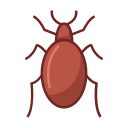 cucaracha icon