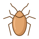 cucaracha icon