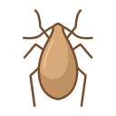 cucaracha icon