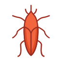 cucaracha icon