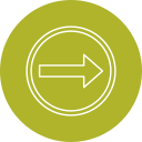 flecha correcta icon