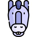 burro icon