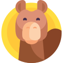 camello icon