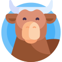 vaca icon