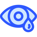 ojo icon