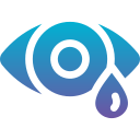 ojo icon