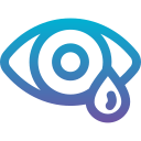 ojo icon