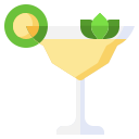 margarita icon