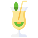 mojito icon