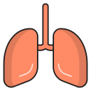 pulmones icon