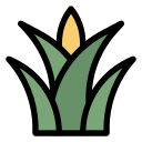 hoja icon