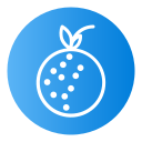 lychee icon