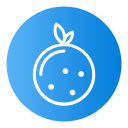 naranja icon