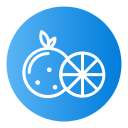 naranja icon