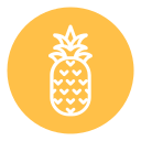 piña icon