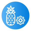 piña icon