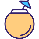 agua de coco icon