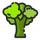 brócoli icon