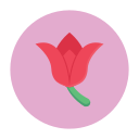 rosa icon